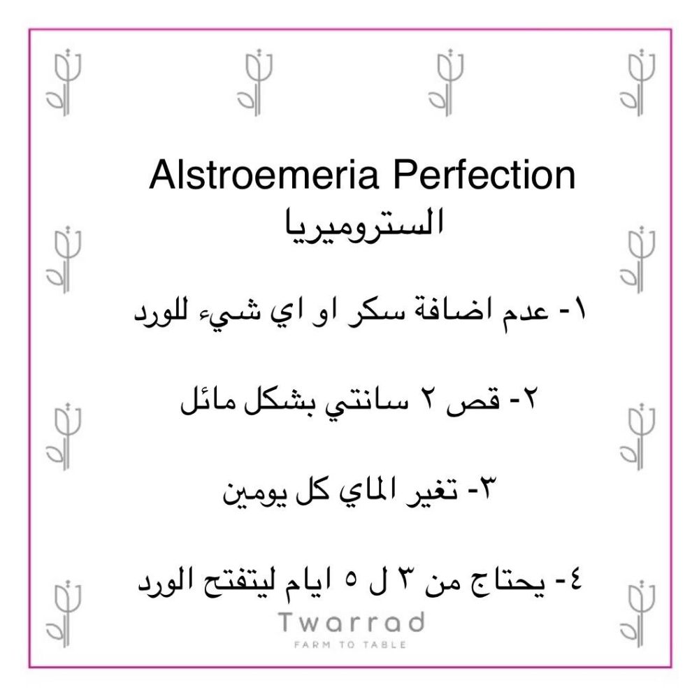 شاكيرا