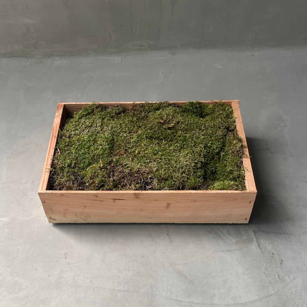 Moss Flat Wooden Box
